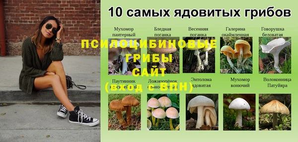 СК Белокуриха