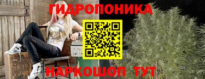 ПСИЛОЦИБИНОВЫЕ ГРИБЫ Балахна