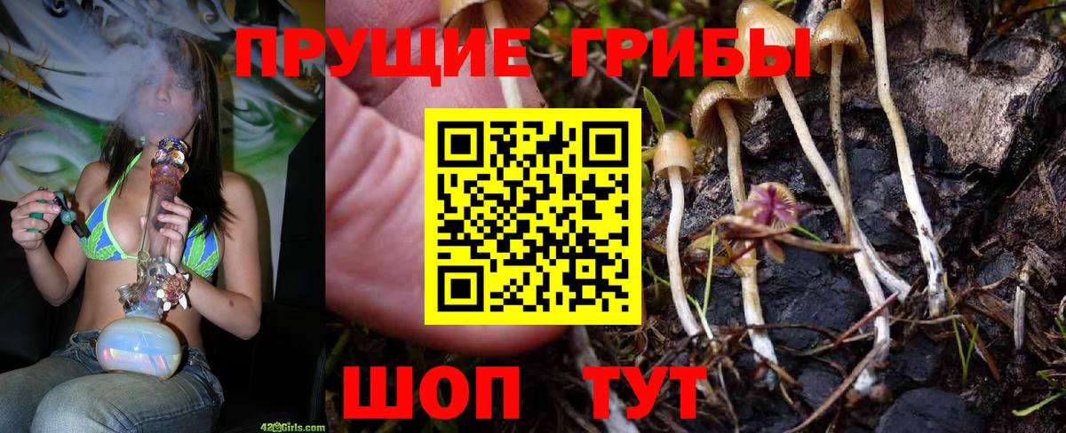 Галлюциногенные грибы мухоморы Борисоглебск