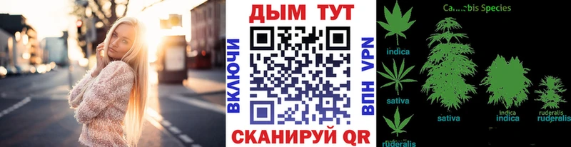 МАРИХУАНА ГИДРОПОН Борисоглебск